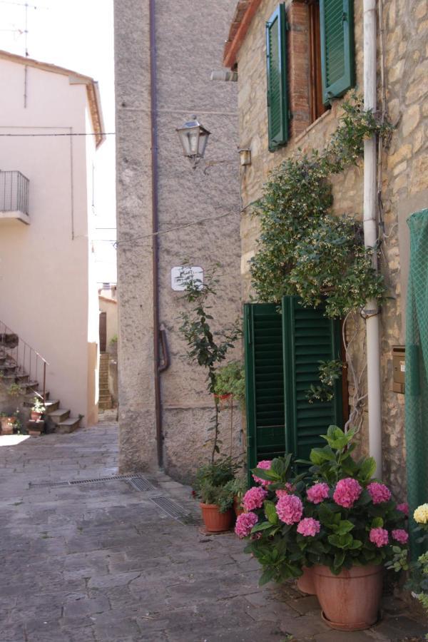 Antica Abitazione Con Vista Montagna Casa Norma Appartement Seggiano Buitenkant foto