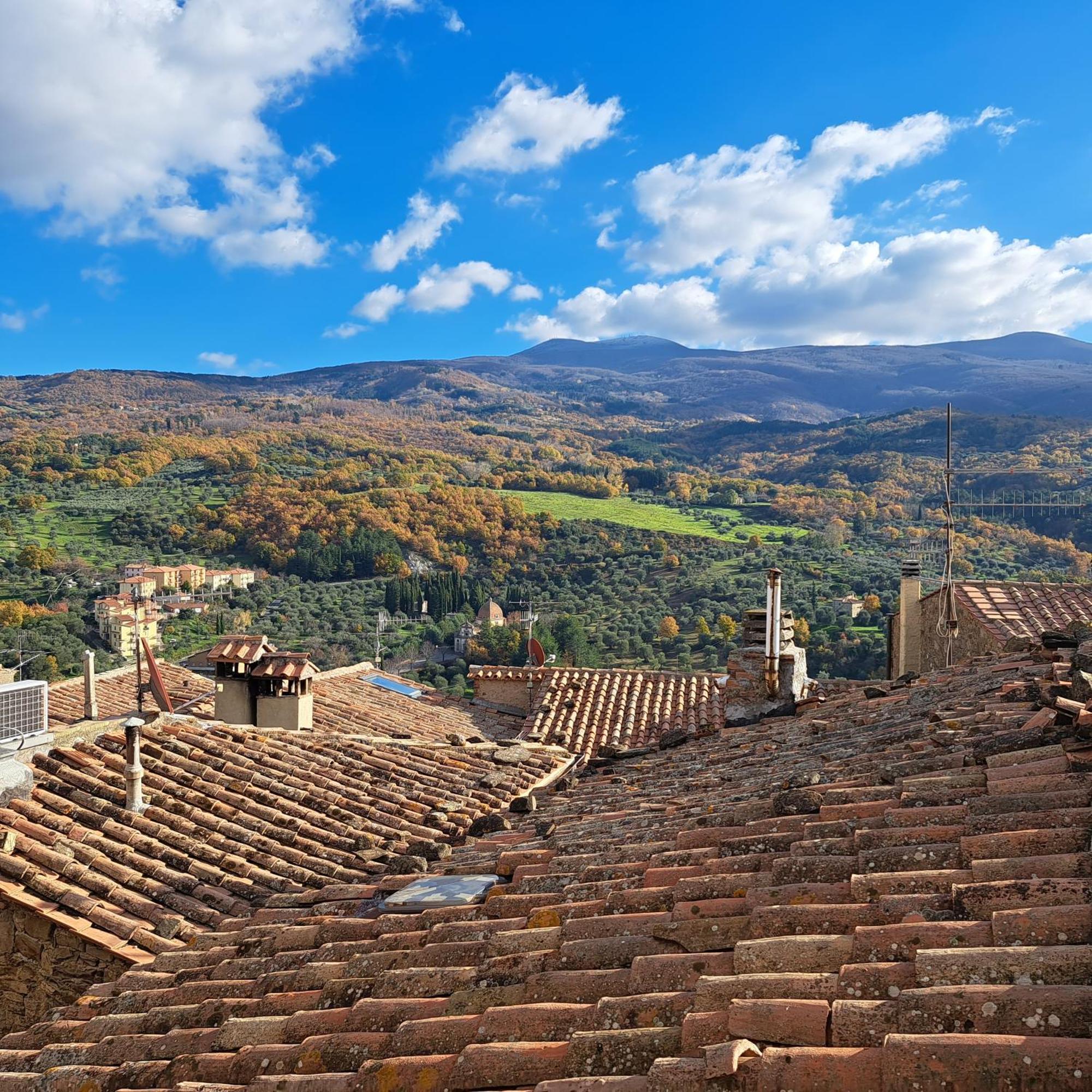 Antica Abitazione Con Vista Montagna Casa Norma Appartement Seggiano Buitenkant foto